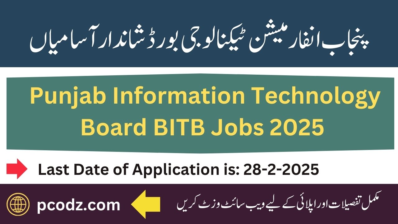 PITB Jobs 2025
