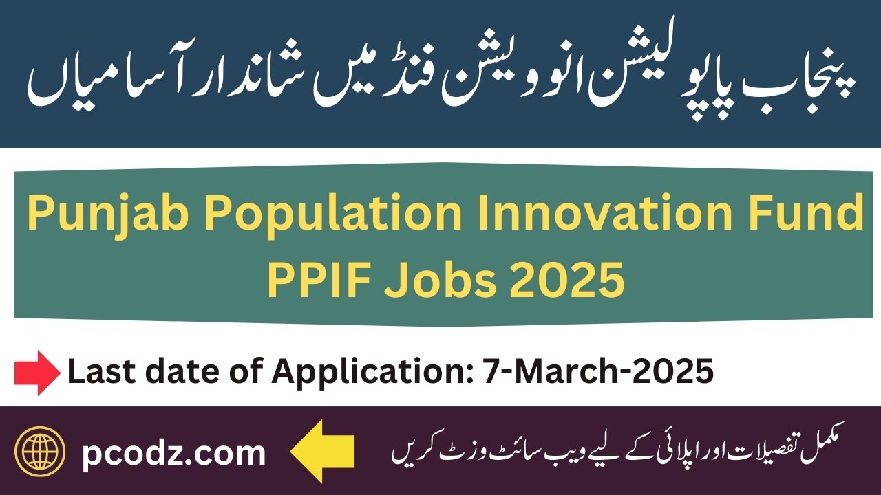 PPIF Jobs 2025