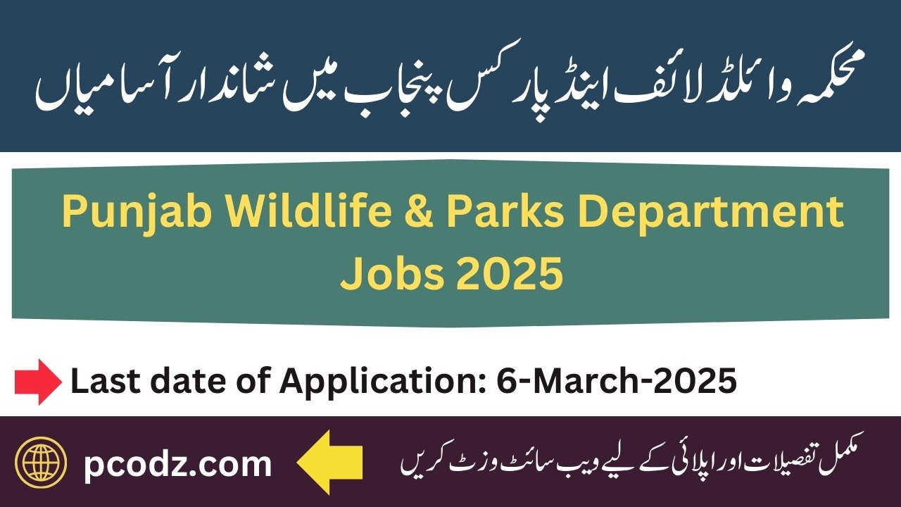 Punjab Wildlife & Parks Department Lahore Jobs 2025
